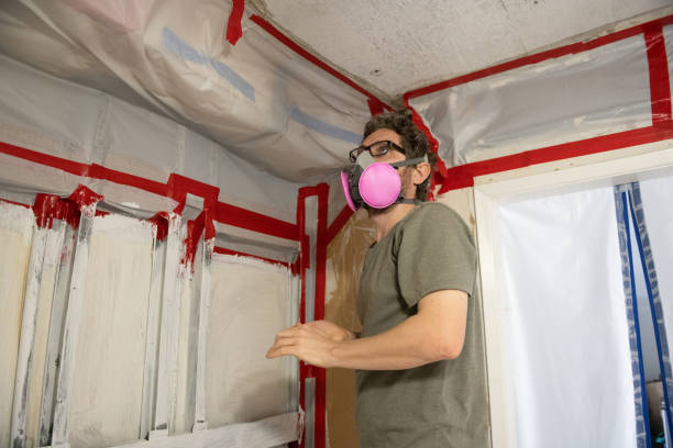 Trusted Cajahs Mountain, NC Mold Removal Experts